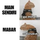 Pelekat