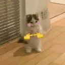 ស្ទីកเกอร์