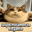 স্টিকার