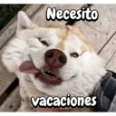 স্টিকার