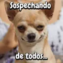 স্টিকার