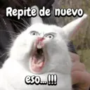 স্টিকার