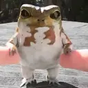 స్టికర్