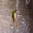 స్టికర్