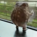 స్టికర్