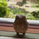 స్టికర్