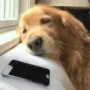 ස්ටිකර්