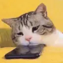 ස්ටිකර්