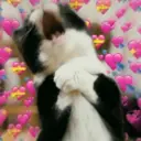 ស្ទីកเกอร์