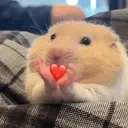 ස්ටිකර්