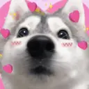 ස්ටිකර්