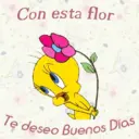 ස්ටිකර්