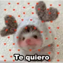 ස්ටිකර්