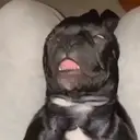 ஸ்டிக்கர்