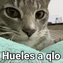 స్టికర్