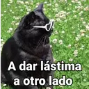 స్టికర్