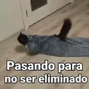 స్టికర్