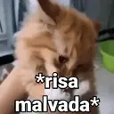 స్టికర్