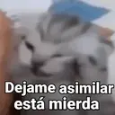 స్టికర్