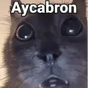 స్టికర్