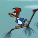 ස්ටිකර්