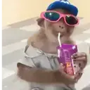 స్టికర్