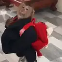 స్టికర్