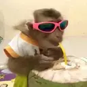 స్టికర్