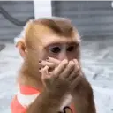 స్టికర్