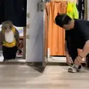 స్టికర్