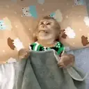 స్టికర్