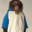 స్టికర్