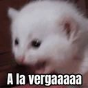 ස්ටිකර්