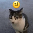 ස්ටිකර්