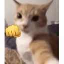 ස්ටිකර්