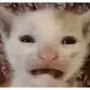 ස්ටිකර්