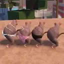 স্টিকার