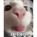 สติกเกอร์