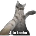 สติกเกอร์