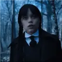 Կպչուն պիտակ