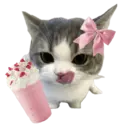 ស្ទីកเกอร์