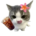 ស្ទីកเกอร์