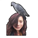 สติกเกอร์