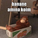 ஸ்டிக்கர்