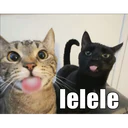 ஸ்டிக்கர்