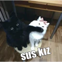 ஸ்டிக்கர்