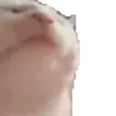 Կպչուն պիտակ