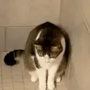 สติกเกอร์