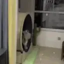 สติกเกอร์