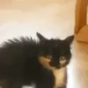 สติกเกอร์